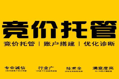 百度竞价包年推广策略：企业增长的新动力
